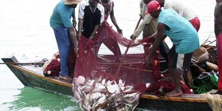 Moçambique: FAO anuncia apoio técnico para ajudar o país no combate à pesca ilegal 11 Moçambique