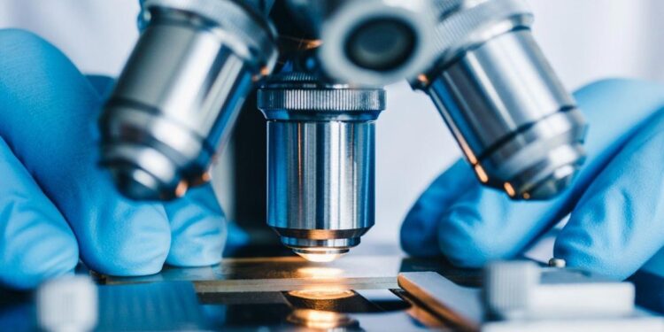 Nanopartícula para combate ao cancro desenvolvida na UC obtém designação de “medicamento órfão” 11 Nanopartícula