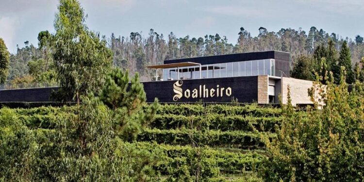 Produtor vitivinícola Soalheiro e têxtil Tintex criam alternativa ao couro com desperdício de uva 11 Produtor vitivinícola Soalheiro e têxtil Tintex criam alternativa ao couro com desperdício de uva