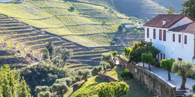 Estudo recomenda lógica do Programa Regressar para reter talento em Portugal 11 Estudo recomenda lógica do Programa Regressar para reter talento em Portugal