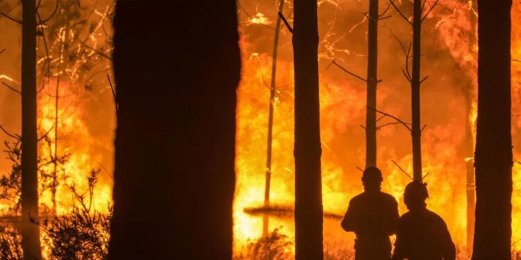 Portugal vai investir 156 milhões de euros para prevenir incêndios florestais 11 incêndios florestais