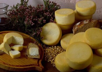 queijos DOP da região Centro