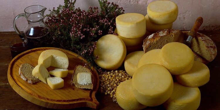 Portugal: InovCluster quer valorização económica dos queijos DOP da região Centro 11 queijos DOP da região Centro