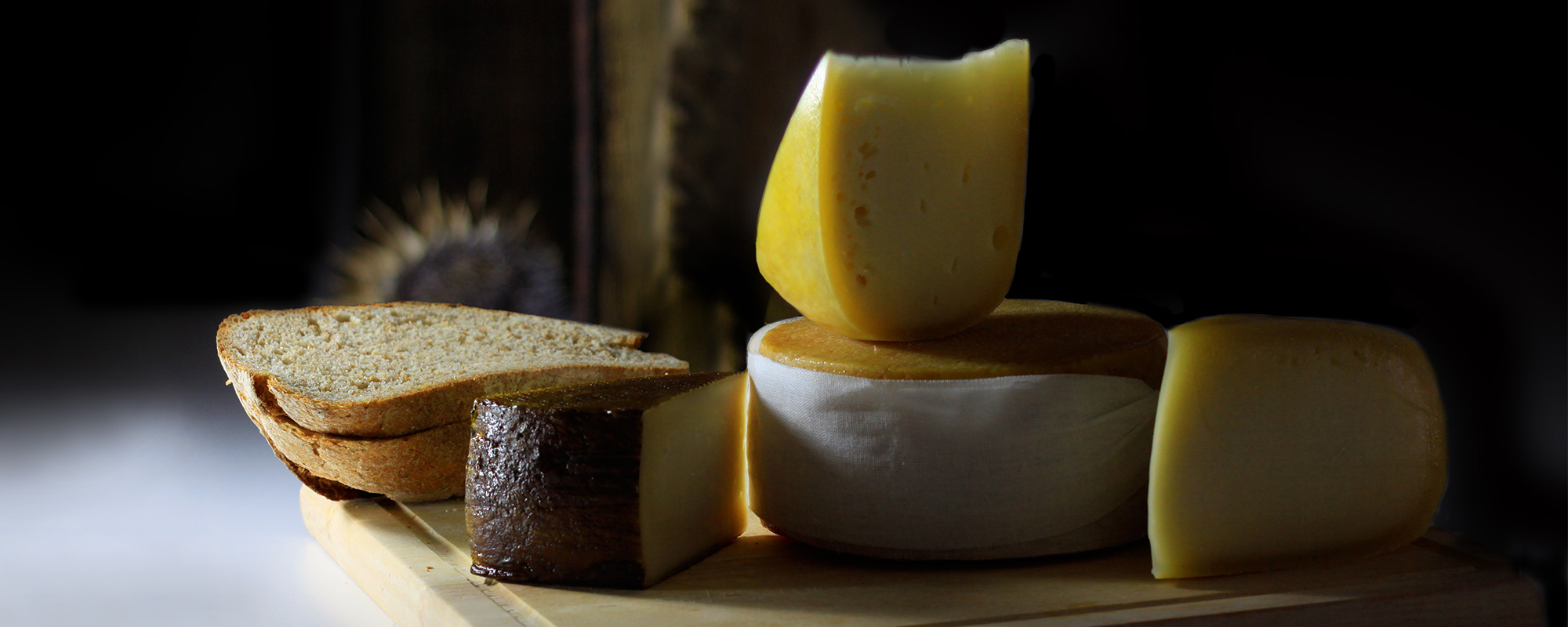 Fileira dos Queijos DOP da Região Centro acredita na recuperação a partir da Páscoa 13 Fileira dos Queijos DOP da Região Centro acredita na recuperação a partir da Páscoa