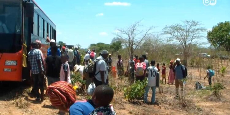 Moçambique: "Nenhum país se safou de uma catástrofe com um grupo de mercenários" 11 Moçambique