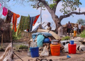 Moçambique: Representantes da ONU alarmados com aumento da violência a civis