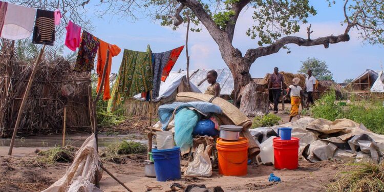 Moçambique: Representantes da ONU alarmados com aumento da violência a civis 11 Moçambique: Representantes da ONU alarmados com aumento da violência a civis
