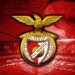 O movimento “Servir o Benfica” consegue AG extraordinária com 10 mil votos 22 benfica