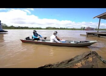 Brasil: Vacinação no Amazonas avança de canoa pelos locais mais remotos