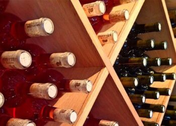 vinhos dos concelhos do Oeste