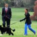 Morreu Bo, o cão português da família Obama 21 Bo, o cão português da família Obama