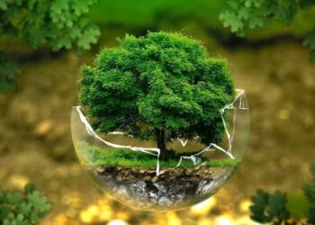 Fórum da Sociedade Civil da CPLP