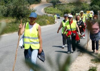 peregrinos a caminho de Fátima