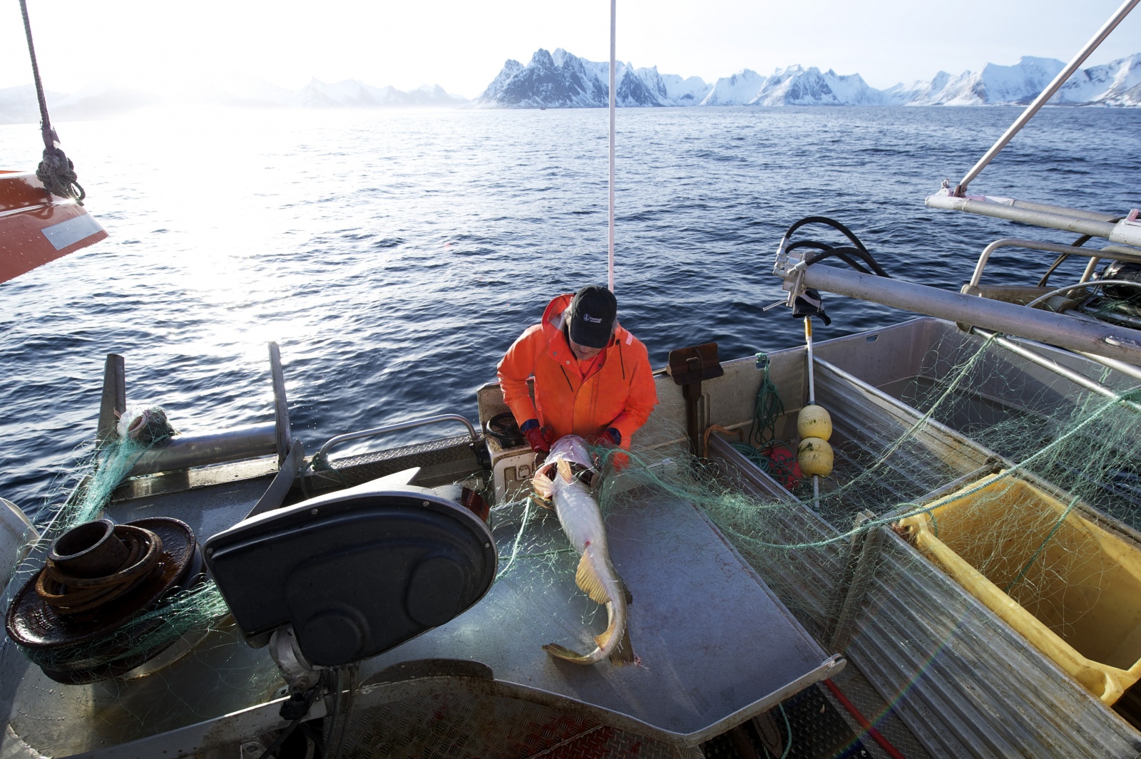 Armadores portugueses contestam “privilégios aduaneiros” da Noruega na pesca de bacalhau 12 Armadores portugueses contestam “privilégios aduaneiros” da Noruega na pesca de bacalhau