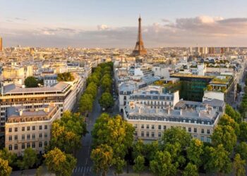 Eleições distritais em França