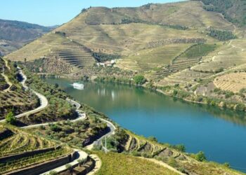 Projeto eno-Analytics