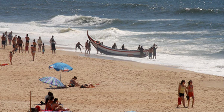 Festival da Sardinha conta servir tonelada e meia na praia do Pedrógão. 11 Festival da Sardinha conta servir tonelada e meia na praia do Pedrógão.