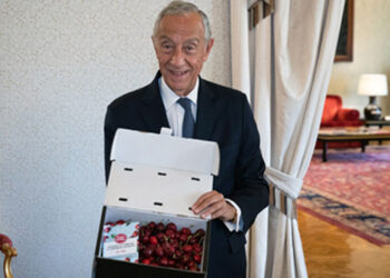 Nutricionista revela benefício surpreendente das cerejas