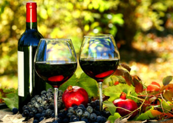 Vinhos do Dão elegem cinco platinas de quatro sub-regiões distintas