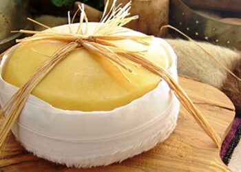 Nova edição da Escola de Queijeiros arranca em setembro na região Centro