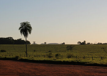 Brasil perdeu um sexto de áreas cobertas por água doce em 30 anos