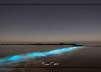 Fenómeno incrível em Vila do Conde
