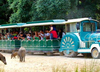 Tapada de Mafra substitui comboio turístico a combustível por veículos elétricos
