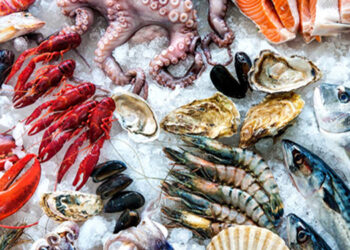 Eurobarómetro: inquérito revela que portugueses continuam a liderar consumo de peixe e produtos do mar apesar da crise da COVID-19