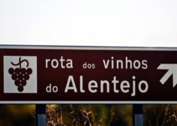 ALENTEJO: 11 Programas de vindimas para conhecer e explorar