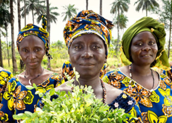 Cabo Verde. OMT recomenda investimento para recuperação sustentável do turismo