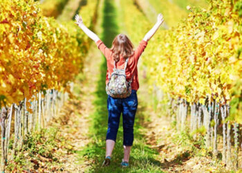 Enoturismo atraiu 10% dos turistas em Portugal nos últimos anos