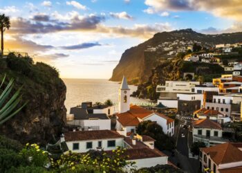 Brasil. Federação das Câmaras de Comércio apresenta Madeira em projeto de oportunidades de negócios