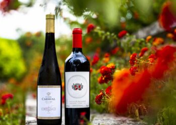 Gala Vinhos do Tejo 2021: Já são conhecidos os melhores do vinho, gastronomia e promoção do território