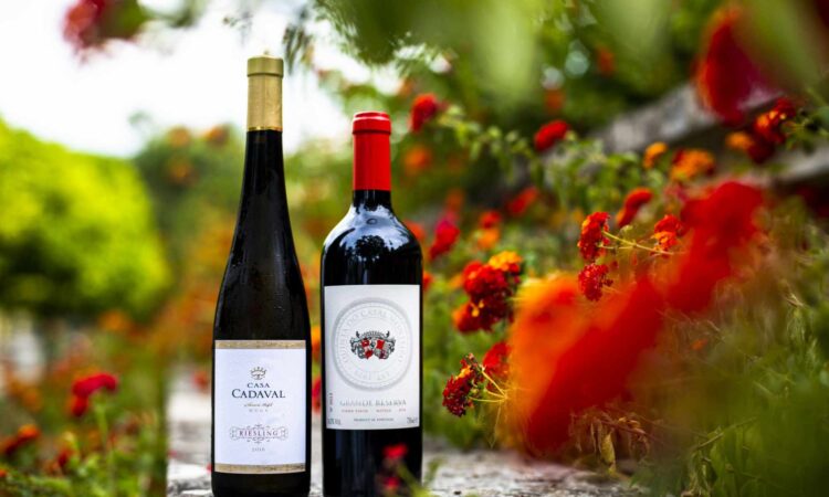 Gala Vinhos do Tejo 2021: Já são conhecidos os melhores do vinho, gastronomia e promoção do território