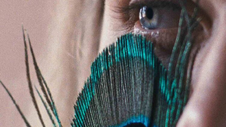 "A metamorfose dos pássaros" é o filme candidato de Portugal aos Óscares