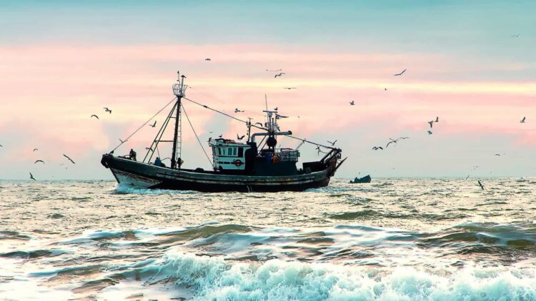 Fish Portugal assume-se como o maior espaço de apoio ao setor do pescado