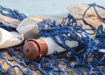 Portugal é o país da Europa que mais praias limpou em 2021