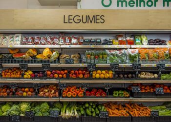 © Filipe Vera-Cruz | Fotografia 2018
Email: filipeveracruz@gmail.com