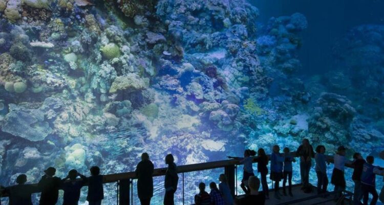 Temporada Cruzada Portugal-França irá consolidar parceria estratégica entre os dois países 11 Temporada Cruzada Portugal-França irá consolidar parceria estratégica entre os dois países