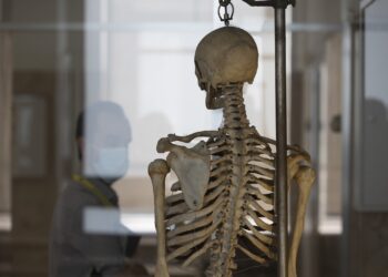 Cabo Verde espera apoio de Portugal para ter Instituto de Medicina Legal em 2022