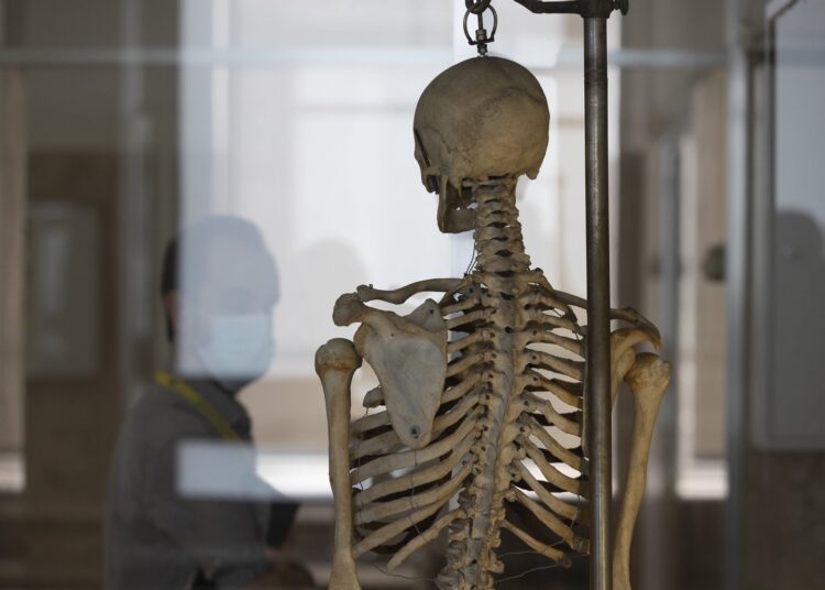 Cabo Verde espera apoio de Portugal para ter Instituto de Medicina Legal em 2022 11 Cabo Verde espera apoio de Portugal para ter Instituto de Medicina Legal em 2022