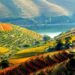 Douro Património Mundial está melhor mas precisa "estancar" perda de população