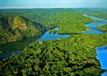 Emissões na Amazónia brasileira serão maiores devido aos incêndios