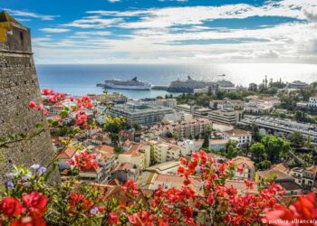 Madeira. Autarquia do Funchal vai tornar mais fácil o licenciamento de obras