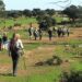 TransAlentejo Walking: Os melhores percursos pedestres para conhecer o Alentejo 22 TransAlentejo Walking: Os melhores percursos pedestres para conhecer o Alentejo