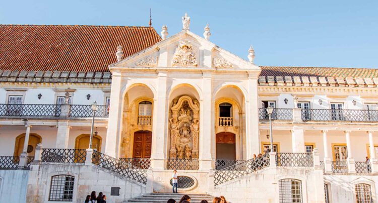 Universidade de Coimbra cria rede de pesca biodegradável para proteger oceanos 11 Universidade de Coimbra cria rede de pesca biodegradável para proteger oceanos