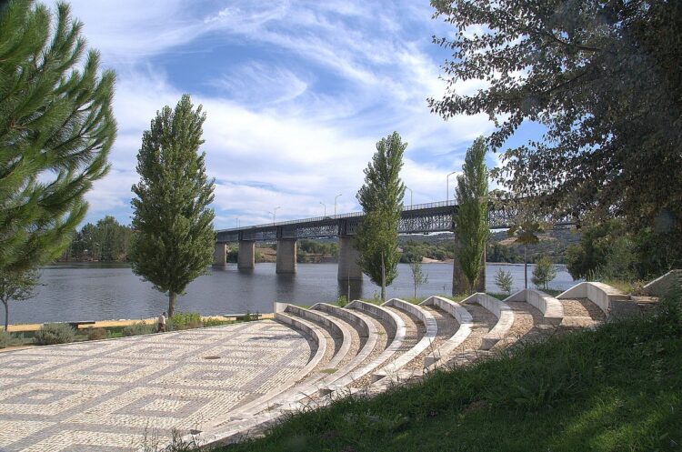 Ana Abrunhosa anuncia apoios a empresas para investimentos no Médio Tejo 11 Ana Abrunhosa anuncia apoios a empresas para investimentos no Médio Tejo