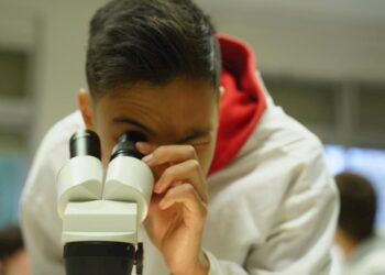 Associações de lusodescendentes na Europa preocupadas com emprego jovem