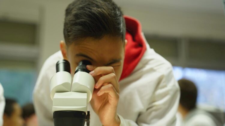 Associações de lusodescendentes na Europa preocupadas com emprego jovem 11 Associações de lusodescendentes na Europa preocupadas com emprego jovem