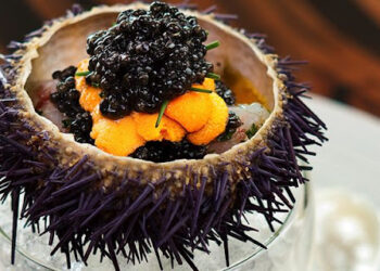 “Caviar português” é mais procurado “lá fora” e chega a custar 200 euros o quilo